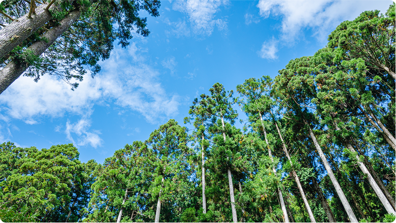 保安林解除申請書作成